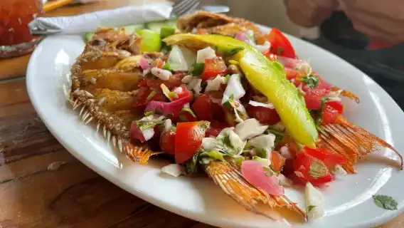 Las Coloradas full-day guided tour