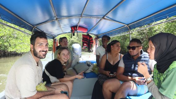 Langkawi Unesco Geopark Kilim Mangrove Cruise - Share or Private Option