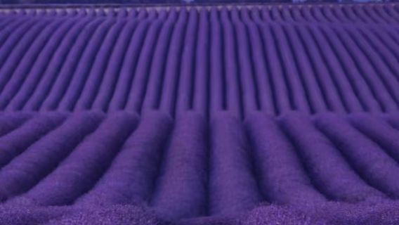 阿維尼翁+瓦朗索勒薰衣草+陶瓷小鎮+聖十字湖邂逅普羅旺斯祕境