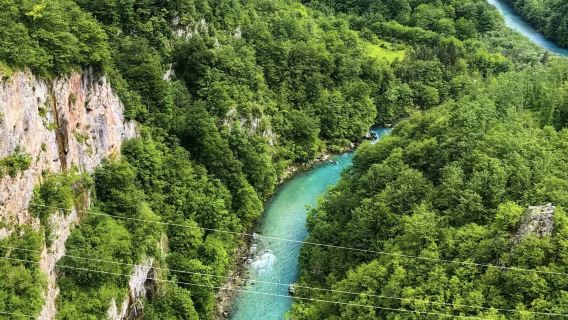 Montenegro's Alpine Secret: Budva Round-Trip to Black Lake, Durmitor National Park & Tara Canyon