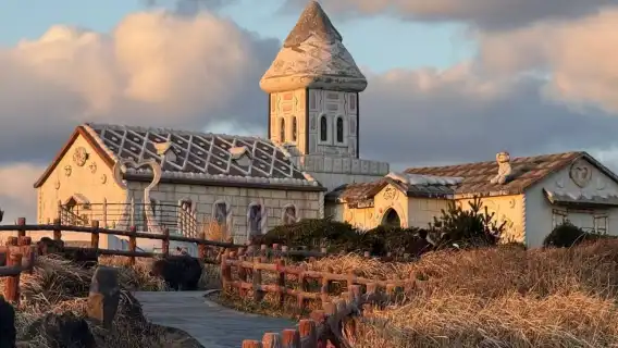 濟州島東線包車一日遊【含門票+專車】可定制行程一手報價