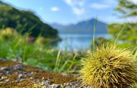 日本北海道登別+樽前山+支笏湖一日遊【中文包車+包車優惠】