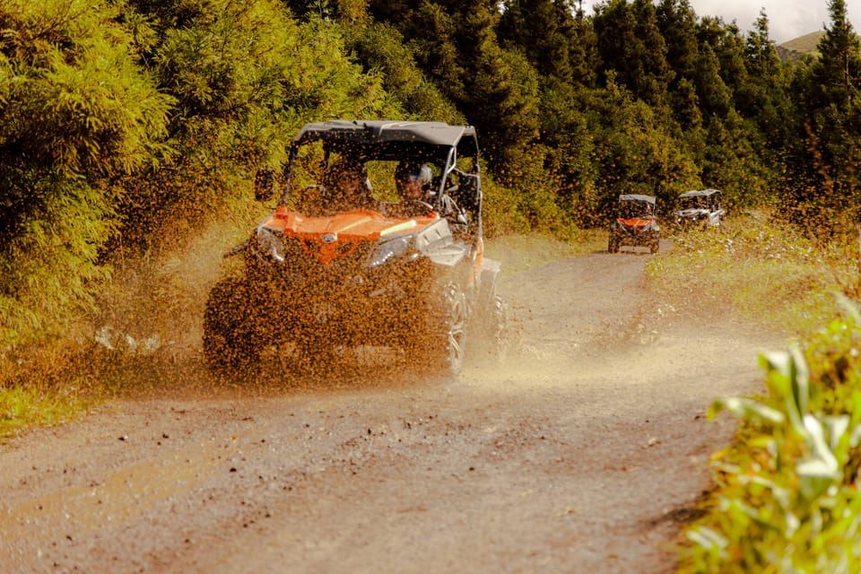 Sao Miguel: Buggy-Tour rund um den Vulkan Sete Cidades