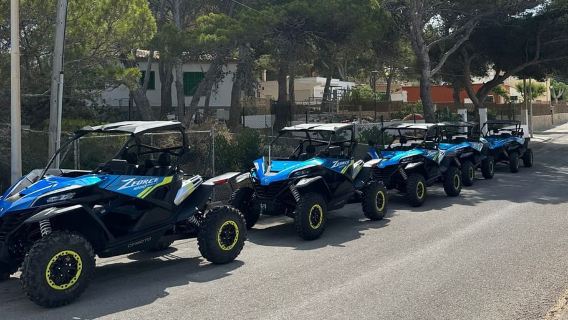 Paguera: Tour xe Buggy 2 giờ