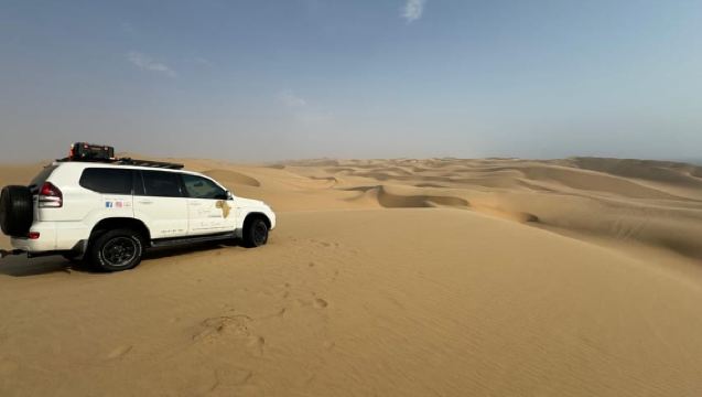 Walvisbay: Sandwich Harbour 4x4 Tour-Unparalleled Experience