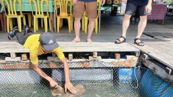 Langkawi Mangrove: barca condivisa, durata stimata 3 ore (pranzo)