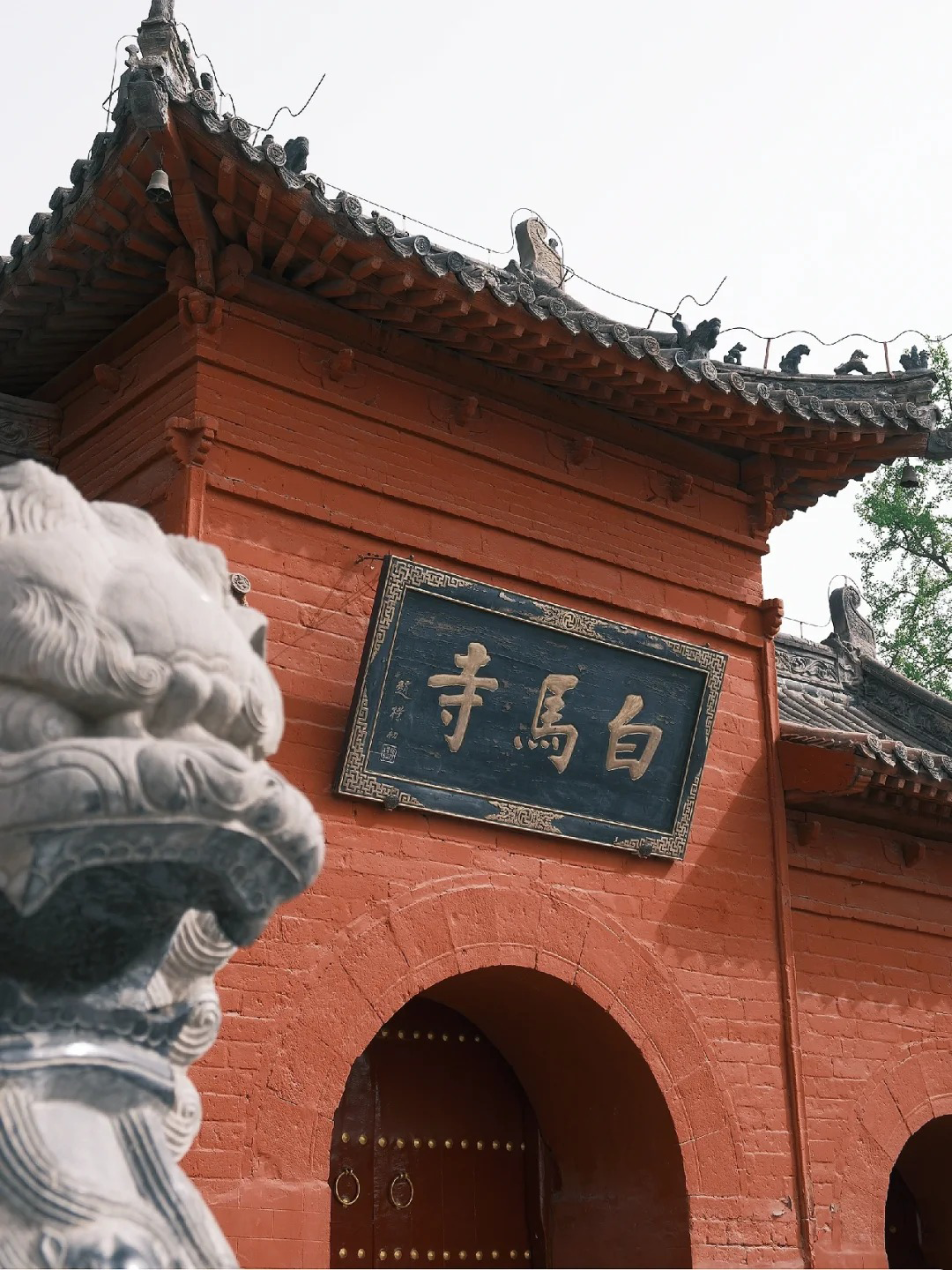 【私家團/精品團+資深導遊導覽】洛陽白馬寺60分鐘人員導覽+耳麥