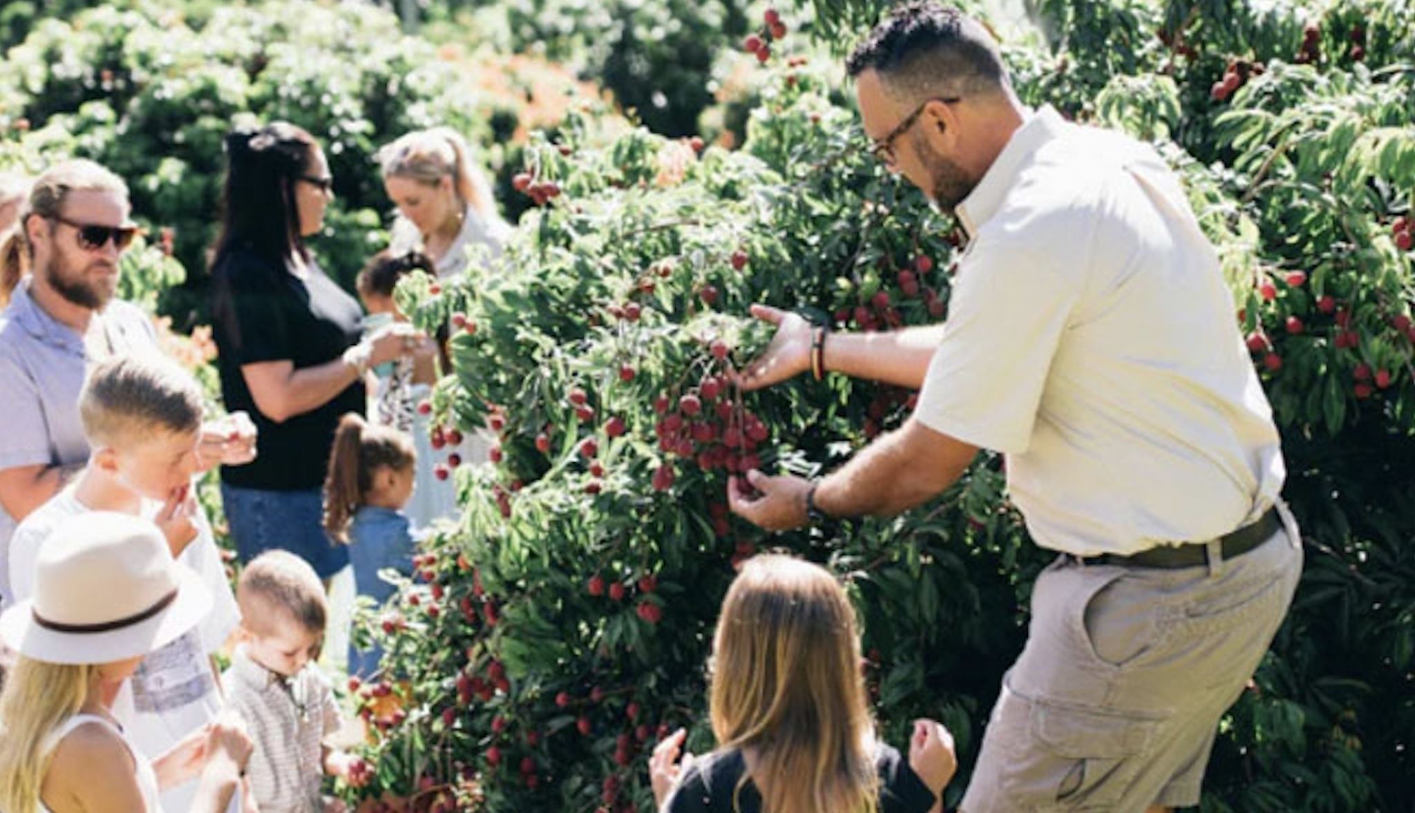 黃金海岸熱帶水果世界+拜倫灣一日遊【中文司導+市區範圍接送】