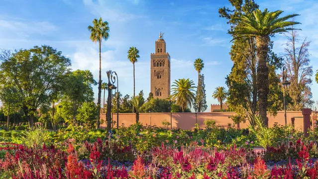 0355p12000ofgdccu2FC6_C_568_320_Q80.jpg_.webp?_fr=wc