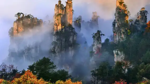 張家界國家森林公園私人包團 (含阿凡達山)