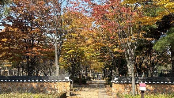한국 인천 즐거운 당일 치기 여행 [ A-2단 ] | 가족, 친구, 커플 여행에 적합
