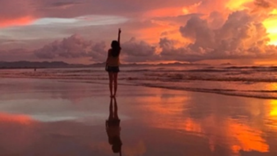 馬來西亞亞庇威士頓紅樹林半日遊【中文導遊+接送+晚餐】