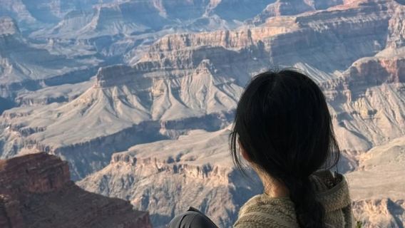 Las Vegas - Grand Canyon National Park - Private Charter - Top Pick