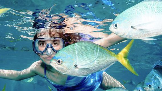 Tour di un giorno a Bali e Nusa Penida con itinerario circolare delle linee est e ovest, giro dell'isola di Nusa Lembongan, snorkeling, immersione subacquea e noleggio con conducente esclusivo per piccoli gruppi