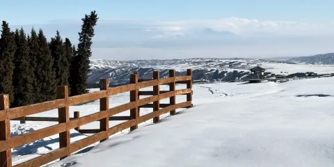 新疆南山牧場一日遊【純玩 大巴車】