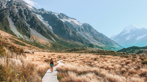 Christchurch, New Zealand: Mount Cook + Lake Tekapo + The Church of the Good Shepherd Tour [Includes Transfers & Lunch] Day Tours