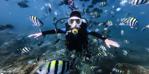 三亞百福島浮潛+快艇出海上島+午餐+來回接送