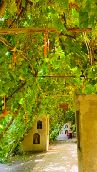 China Xinjiang: Turpan Mazha Village + Grape Valley + Flaming Mountains [Round-trip from Urumqi], Customizable