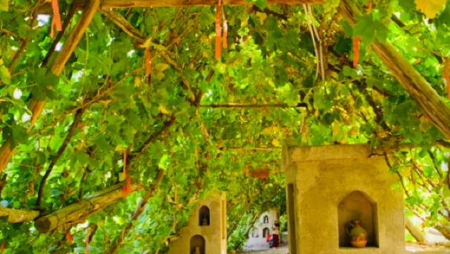 China Xinjiang: Turpan Mazha Village + Grape Valley + Flaming Mountains [Round-trip from Urumqi], Customizable