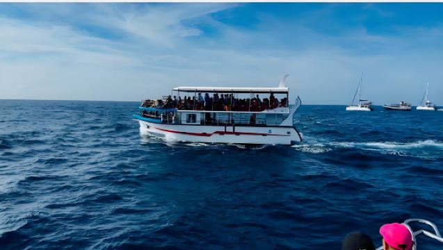 ทริปชมวาฬที่เมอริสสา ศรีลังกา + เมืองเก่ากาลเล่ + รถไฟสายชายฝั่ง | มีรถรับส่งที่โคลัมโบ