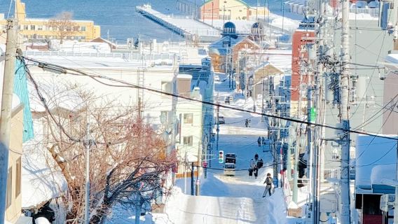 Sapporo Round-Trip | 1-Day Tour to Zenibako and Otaru: Zenibako Coast - Funamizaka - Tenguyama (admission ticket not included)
