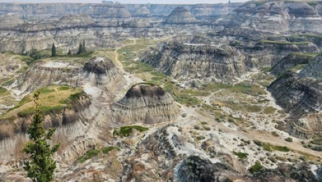 加拿大卡爾加里馬蹄峽谷+魚溪省立公園【中文司機行程可調】