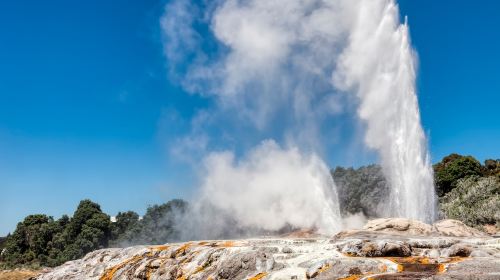 Waitomo glowworm caves + Te Puia geothermal park + Maori culture + Rotorua 16-person group tour Day Tours