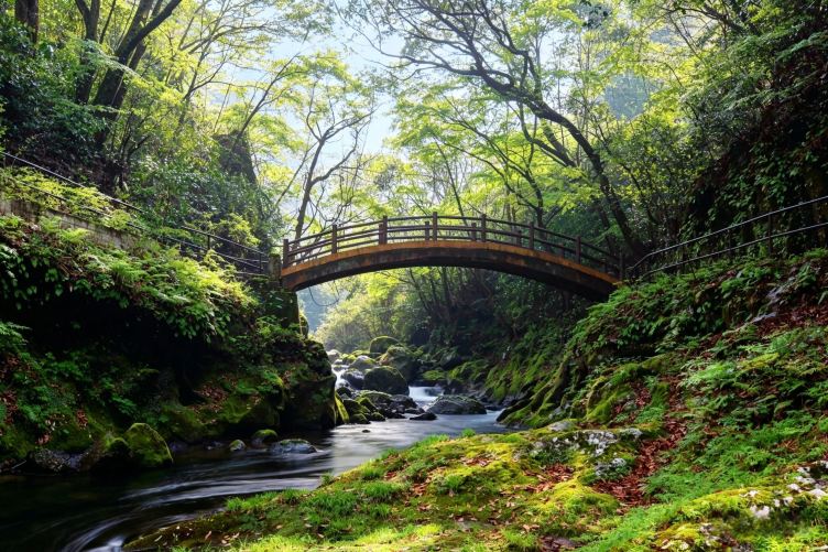 福岡発：高千穂峡の絶景＋天岩戸神社 西本宮＋戸岩パワースポット癒し
