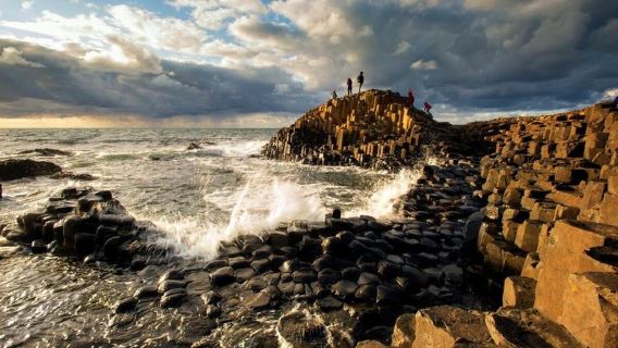 Giant Causeway, Dark Hedges & Whiskey Distillery tour from Dublin