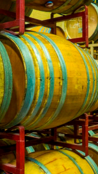 1-day tour to Sonoma and Napa Valley wine country from San Francisco