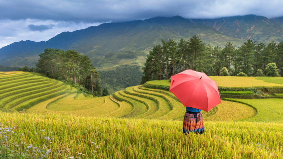 Sapa: Half-Day Walking Tour to Cat Cat Village – H'Mong Culture & Local Handicrafts