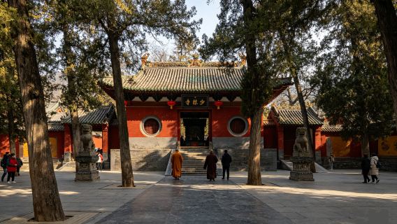 Shaolin Temple (Songshan) & Longmen Grottoes One Day Tour | Choose Private Tour with Door-to-Door Transfer or Small Group (Max.15 Guests)