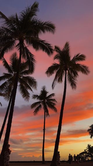 美國夏威夷|大島環島遊網紅景點打卡-一日包車-科納來回-臻選