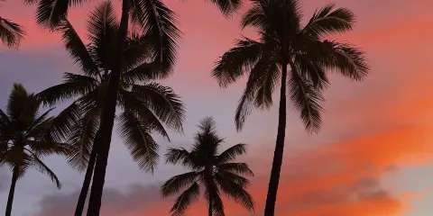 美國夏威夷|大島環島遊網紅景點打卡-一日包車-科納來回-臻選
