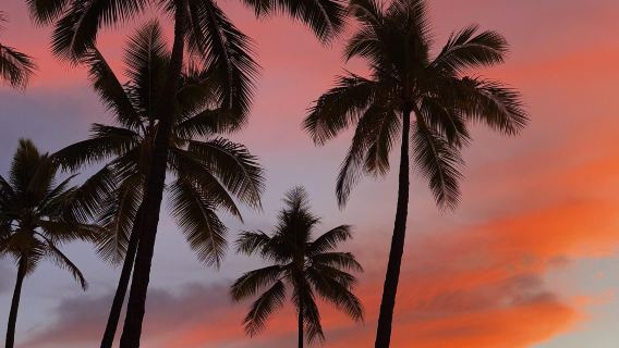 Amerika Hawaii|Lawatan Pulau Besar Tempat Tumpuan Media Sosial - Sewaan Peribadi Sehari - Pergi-balik Kailua-Kona - Pilihan Terbaik