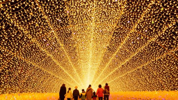 Nabana no Sato illumination & Nagashima Jazz Dream Outlet 1-day tour | Nagoya round-trip