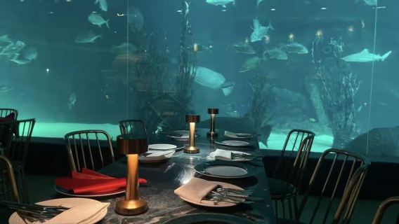 Aqua Dining underwater restaurant in Cebu, Philippines (ocean park seabed view dinner + panoramic glass fish viewing + ambiance-filled dating and dining)