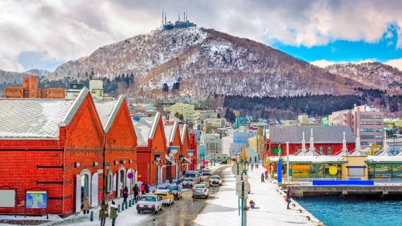 Sewaan peribadi tersuai Hakodate: boleh pilih tarikan sendiri [pemandu hantar/jemput ke lokasi/boleh disewa berterusan/sehala] 