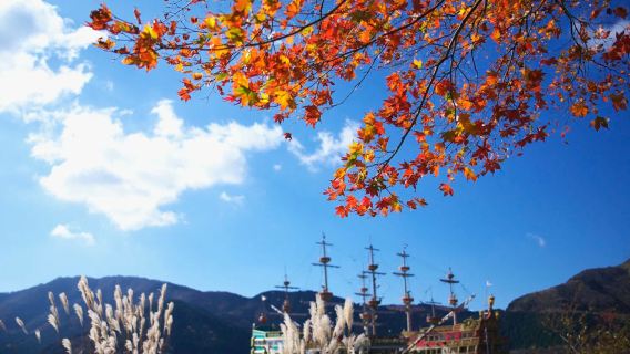 [Small Group Available] Japan Mt. Fuji Cultural Experience: Hakone, Owakudani, Oshino Hakkai Day Trip