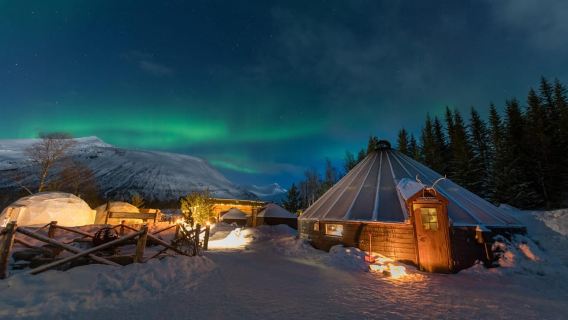 Από την τοποθεσία Tromsø: Πολιτισμός Σάμι, Βόρεια Σέλα και Επίσκεψη σε Ταράνδους