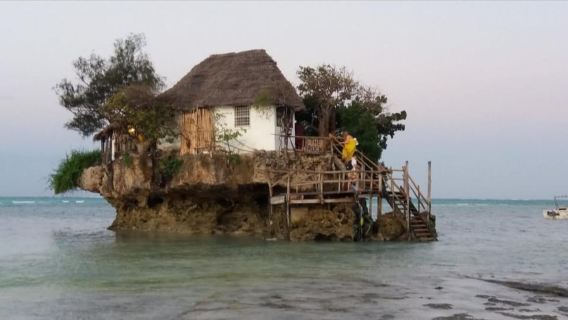 Prison Island, Jozani Forest, The Rock & Paje Beach Tour