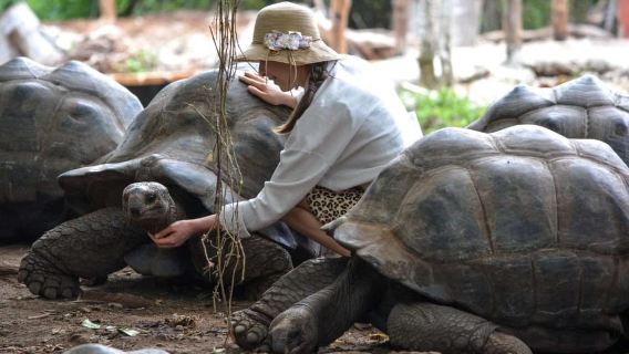 Zanzibar: Prison island, Sea Turtle Sanctuary + Mtende Beach