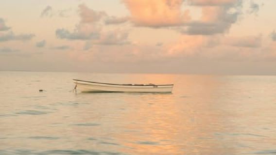 Zanzibar: Unique Sunset Horseback Ride on Kendwa Beach