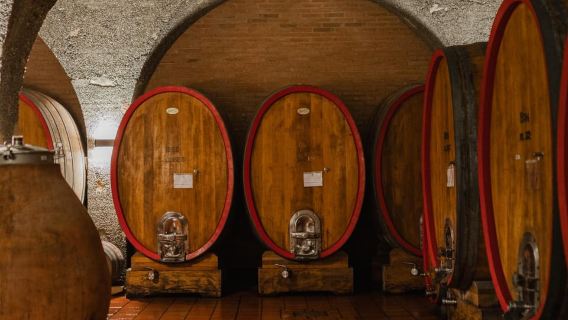 Montalcino: Guided Winery Tour and Wine Tasting