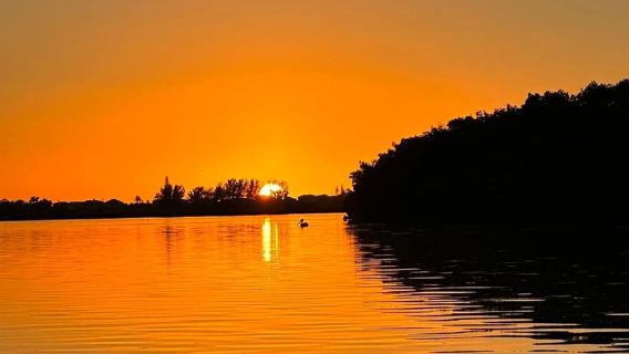 Anna Maria Island and Bradenton: Sunset Kayak Dolphin Tour