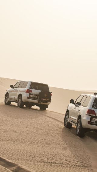 Doha desert Khor Al Udaid safari half-day tour [pick-up, camel ride, sandboarding, falcon photo]