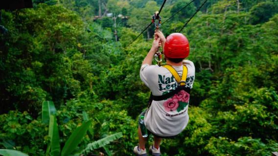 Τσιάνγκ Μάι Sky Hawk Zipline στο ζούγκλικο δάσος