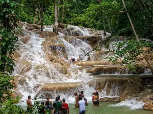 Dunns River Falls Scenic Tour
