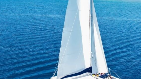 Fiji South Sea Cruise Catamaran Snorkeling Spot + Hotel Pickup + Buffet Lunch + Sea Dragon Hunting