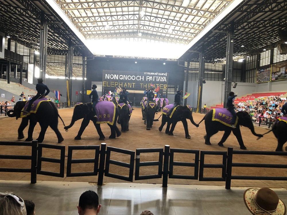 Nong Nooch Tropical Garden Performance in Pattaya, Thailand | Tour Bus | Elephant Ride | Thai Buffet Lunch | Various Option Available